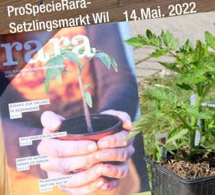 ProSpecieRara-Setzlingsmarkt  14. Mai 2022 